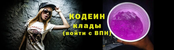 тгк Арсеньев