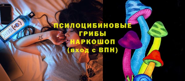 тгк Арсеньев