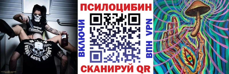 закладки  Армянск  Псилоцибиновые грибы Magic Shrooms 